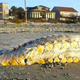 Illustration for article titled The Little Mermaids fish legs washed up in South Carolina